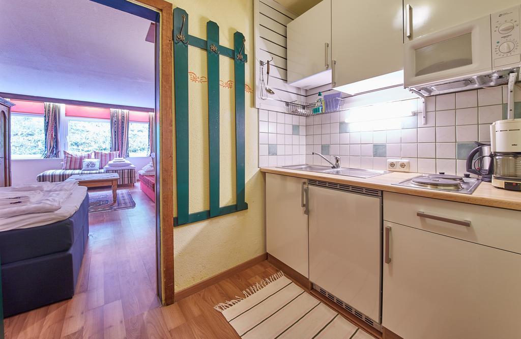 Appartements Alpin Σάαλμπαχ-Χίντεργκλεμ Εξωτερικό φωτογραφία